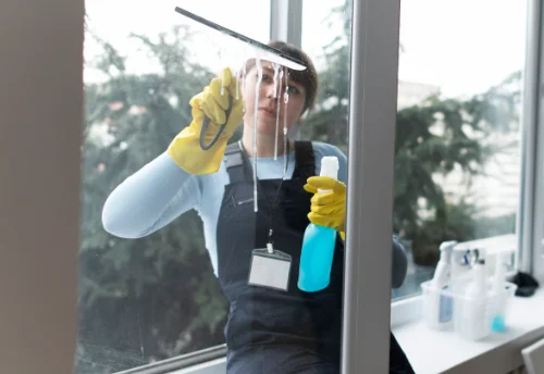 Nettoyage de vitres intérieures et extérieures à Blanquefort-sur-Briolance